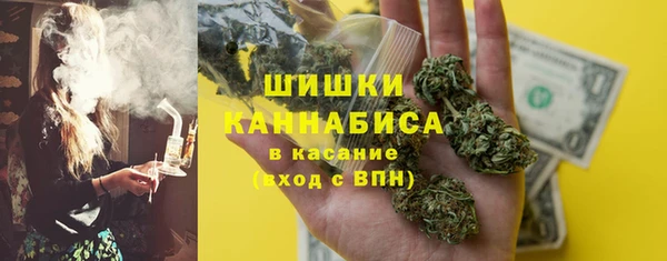 прущие грибы Каменногорск