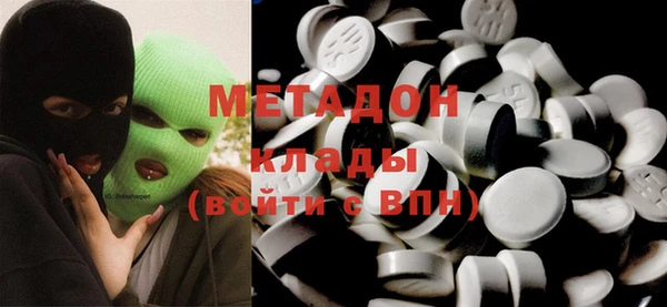 прущие грибы Каменногорск