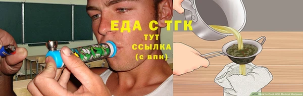 прущие грибы Каменногорск
