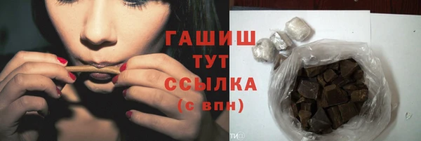 прущие грибы Каменногорск
