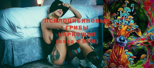 первитин Каменка