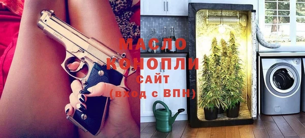 прущие грибы Каменногорск