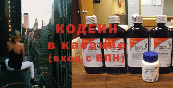 прущие грибы Каменногорск