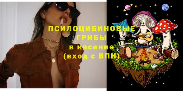 первитин Каменка