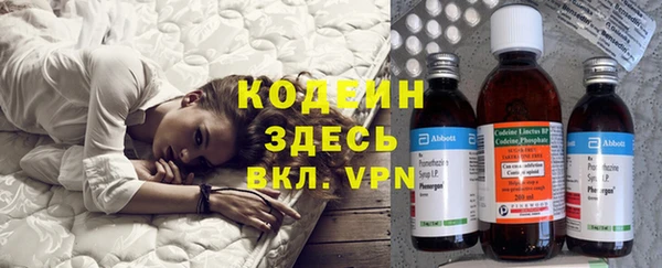 прущие грибы Каменногорск