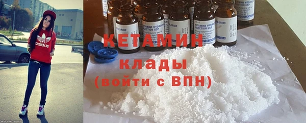 прущие грибы Каменногорск