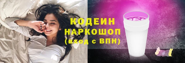 прущие грибы Каменногорск