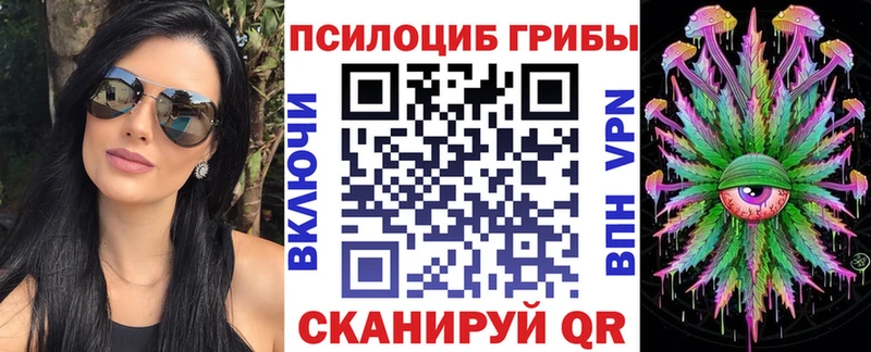Псилоцибиновые грибы Cubensis  Купить  Чердынь 